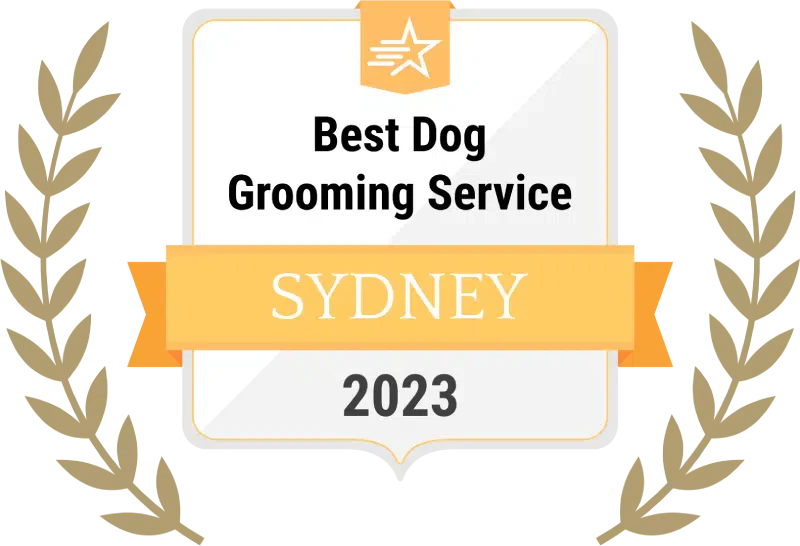 Pamper Your Pup at Dogs in Town: Award-Winning Dog Grooming in Sydney