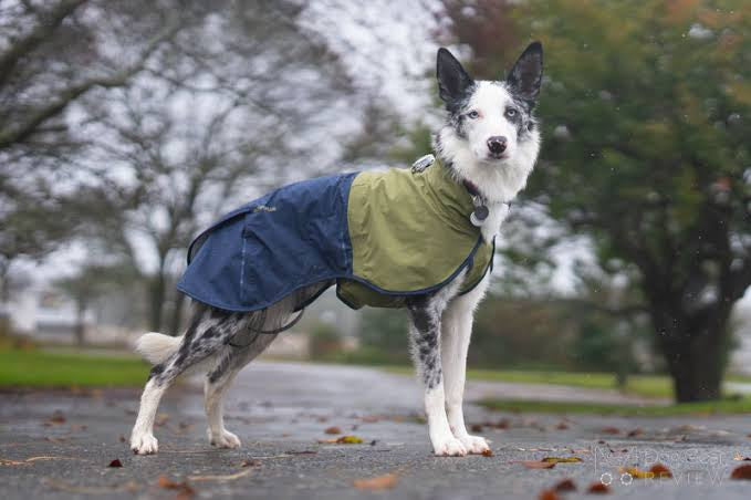 RUFFWEAR Sun Shower™ Dog Raincoat / Midnight Blue