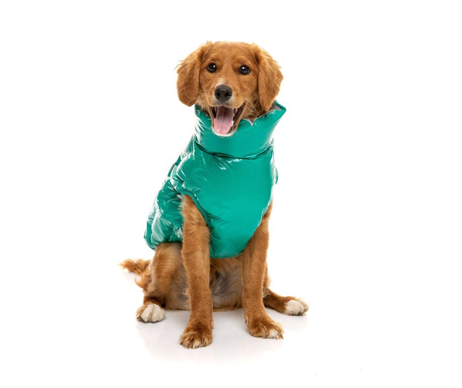 Fuzzyard Sea Green Calabasas Jacket