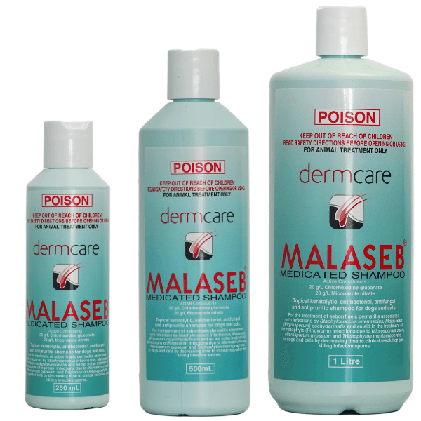 DermCare Malaseb Shampoo Dogs in Town