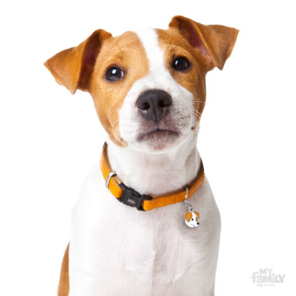 MyFamily Dog ID Tag / Jack Russell