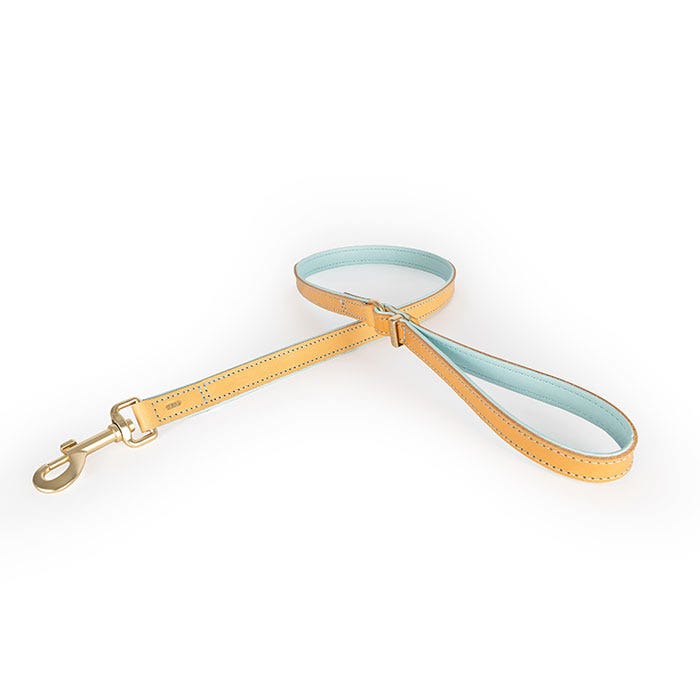 Ezydog Leash Oxford Soft Blue (discontinued)