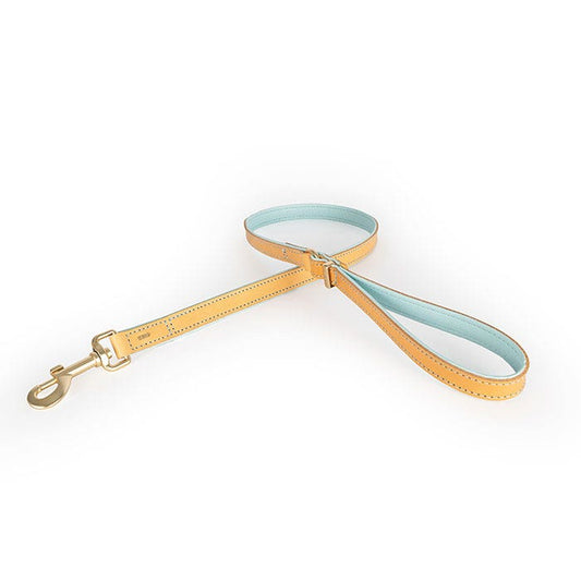 Ezydog Leash Oxford Soft Blue (discontinued)