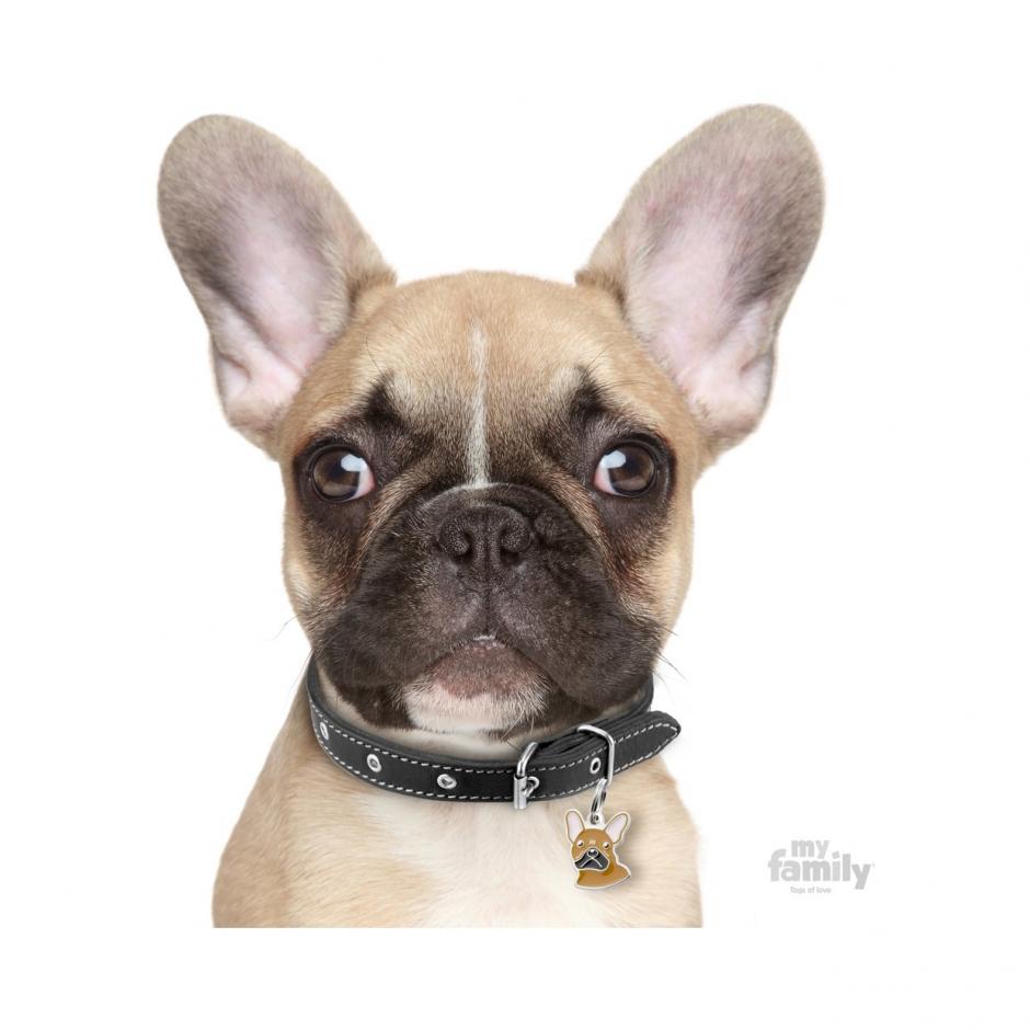 MyFamily Dog ID Tag / French Bulldog