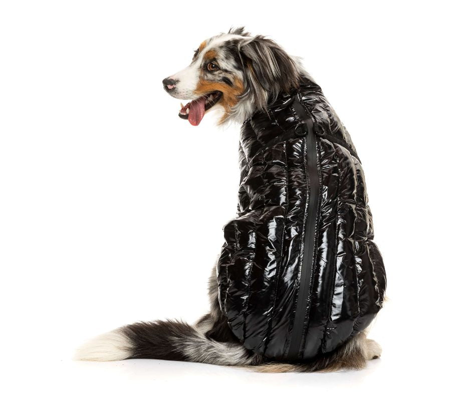 Fuzzyard Black Calabasas Jacket