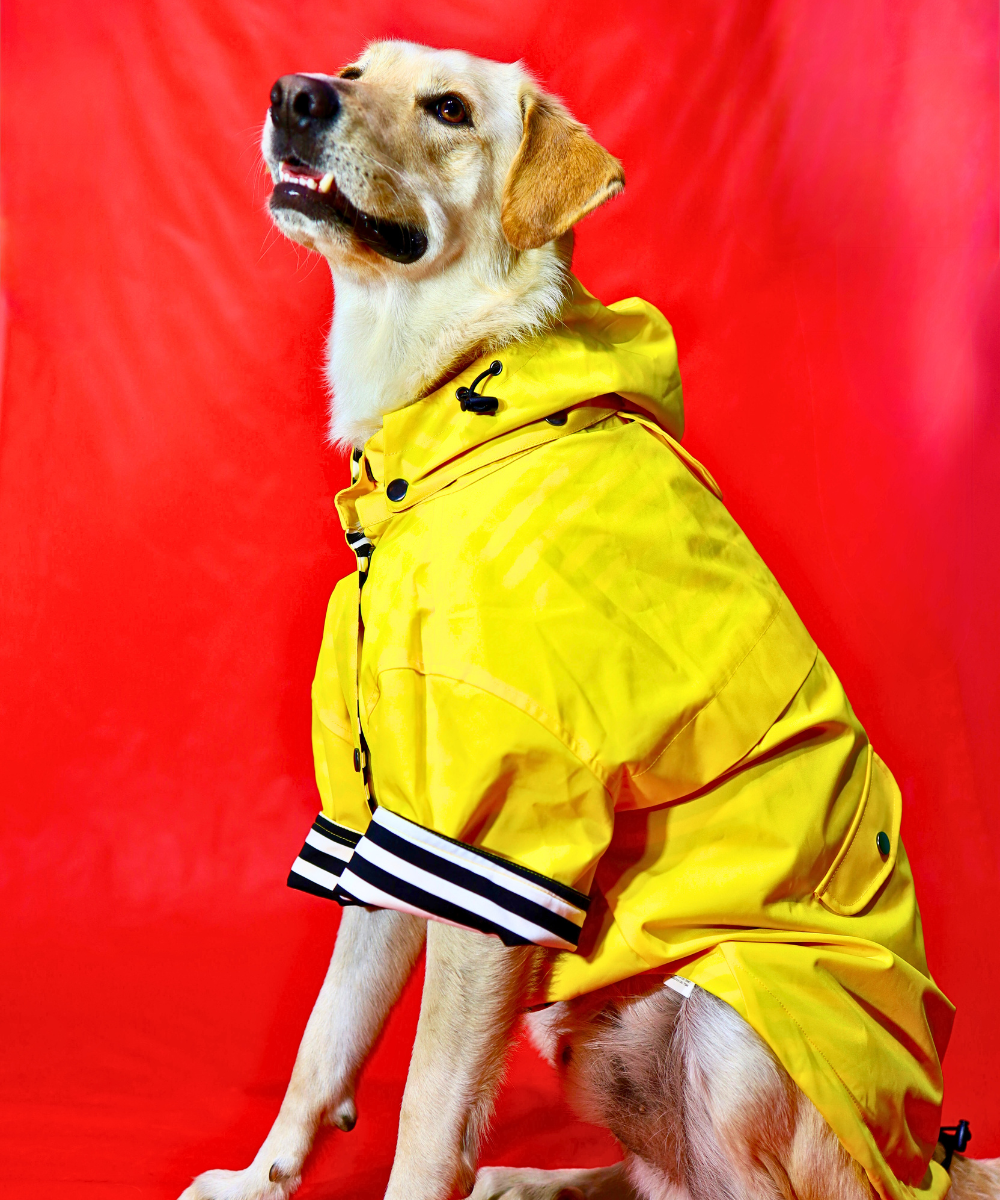 Dogs in Town Raincoat