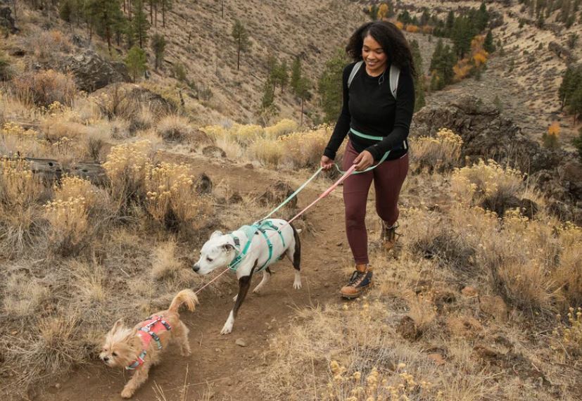 RUFFWEAR Flagline™ Dog Harness with Handle