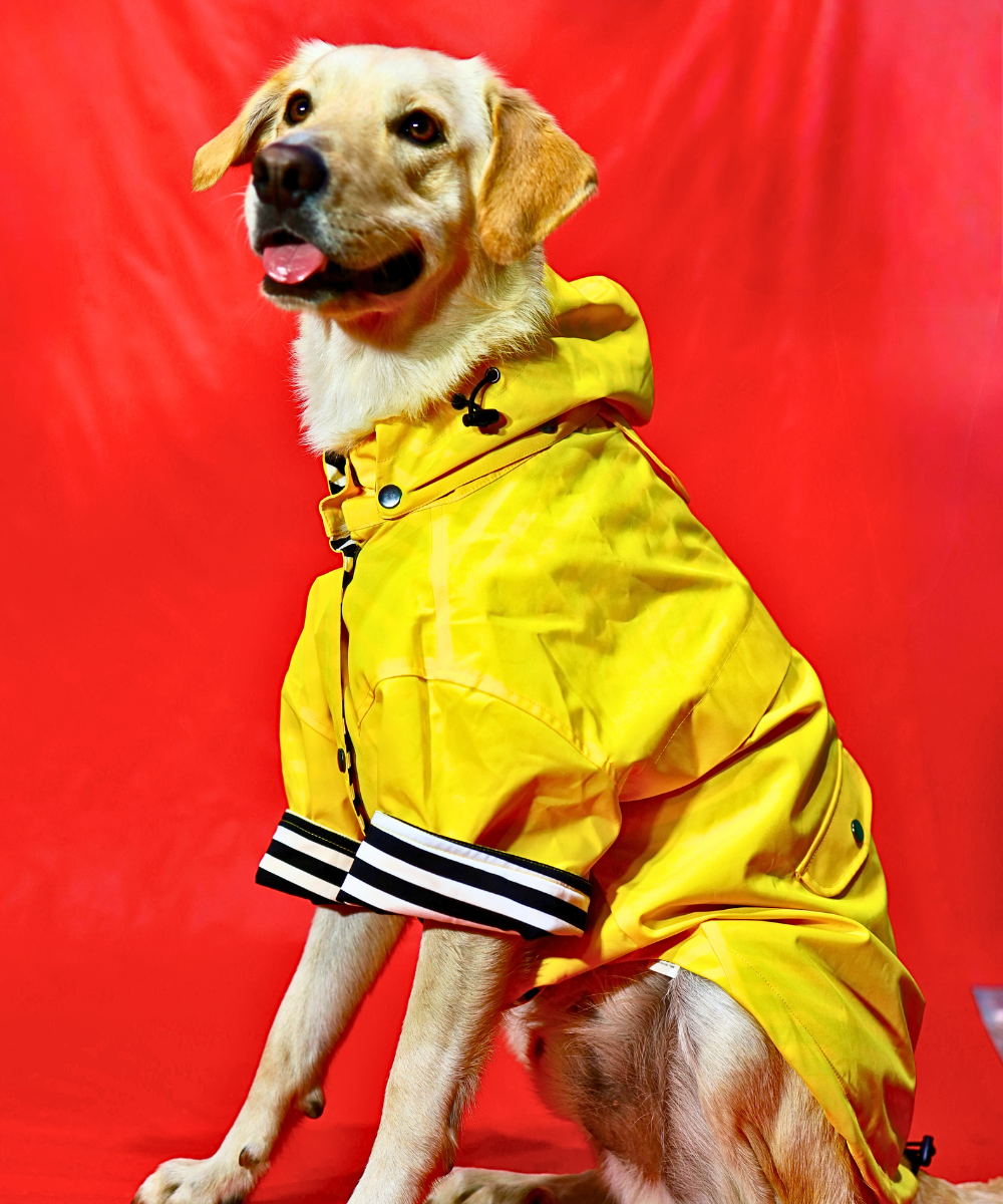Dogs in Town Raincoat