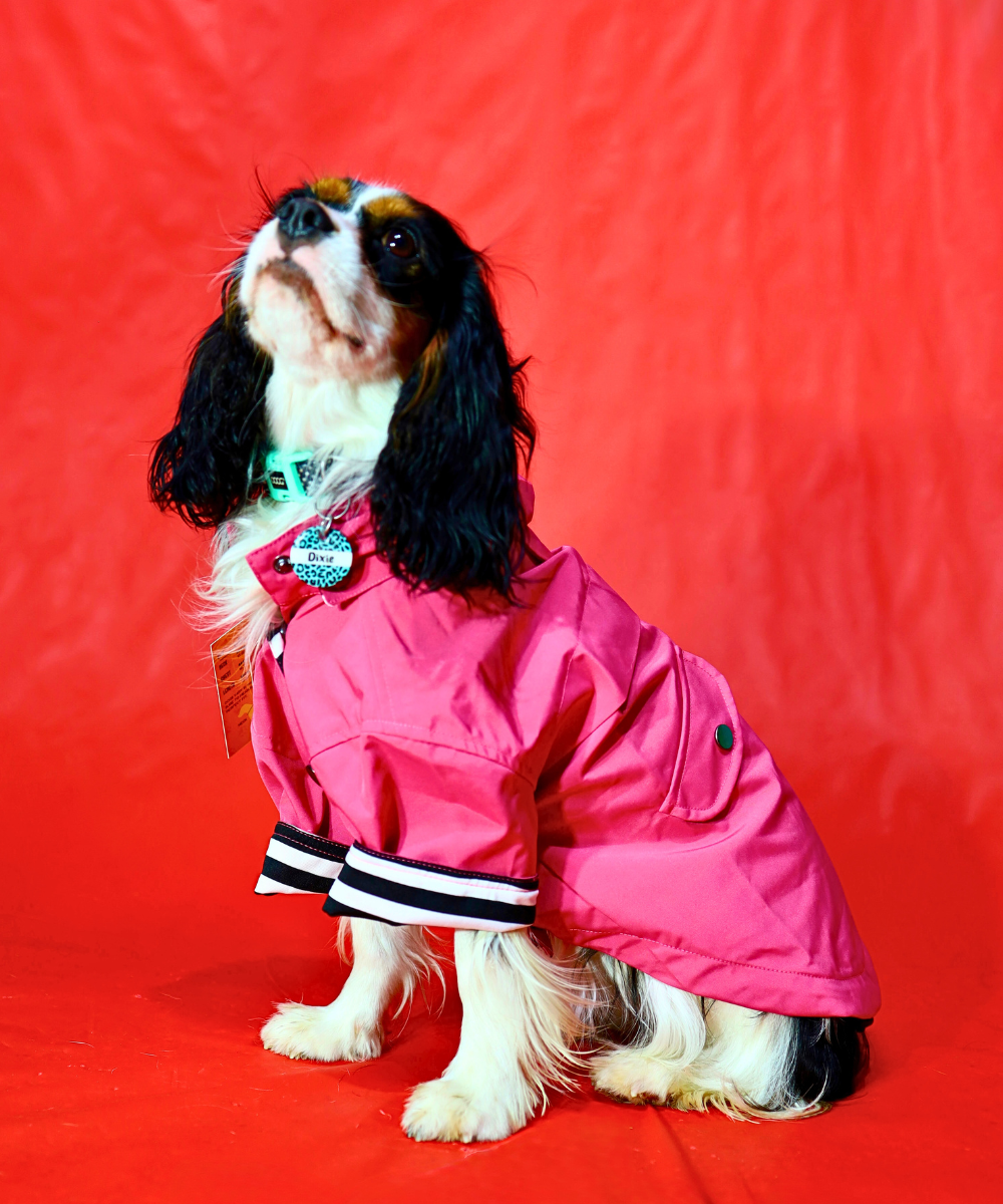 Dogs in Town Raincoat