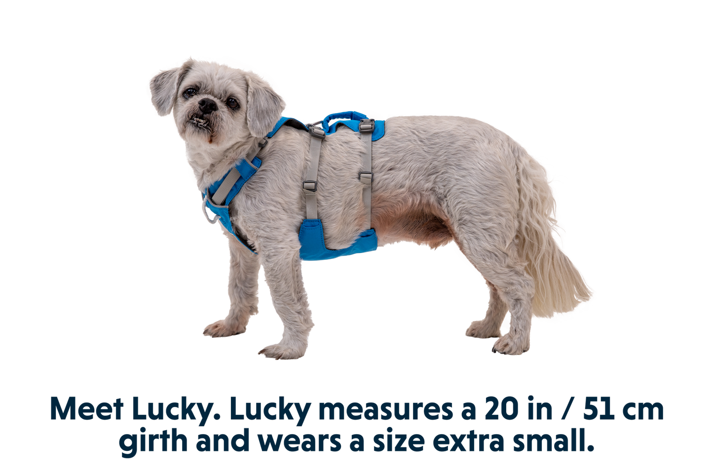 RUFFWEAR Flagline™ Dog Harness with Handle