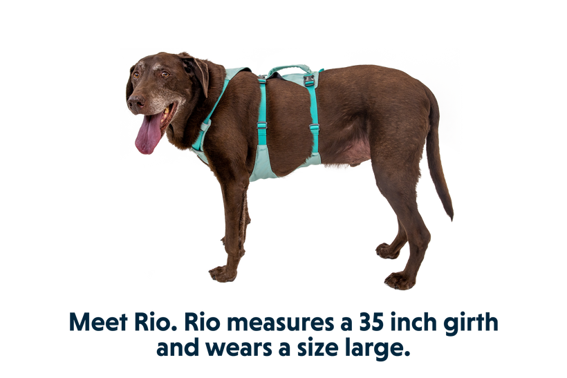 RUFFWEAR Flagline™ Dog Harness with Handle