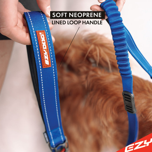 EZYDOG Zero Shock™ Leash