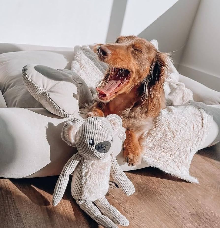 FuzzYard LIFE Premium Corduroy Dog Toys