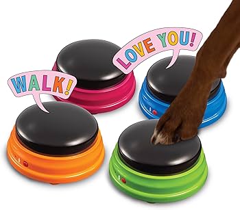 Hunger for Words Talking Pet Starter Set