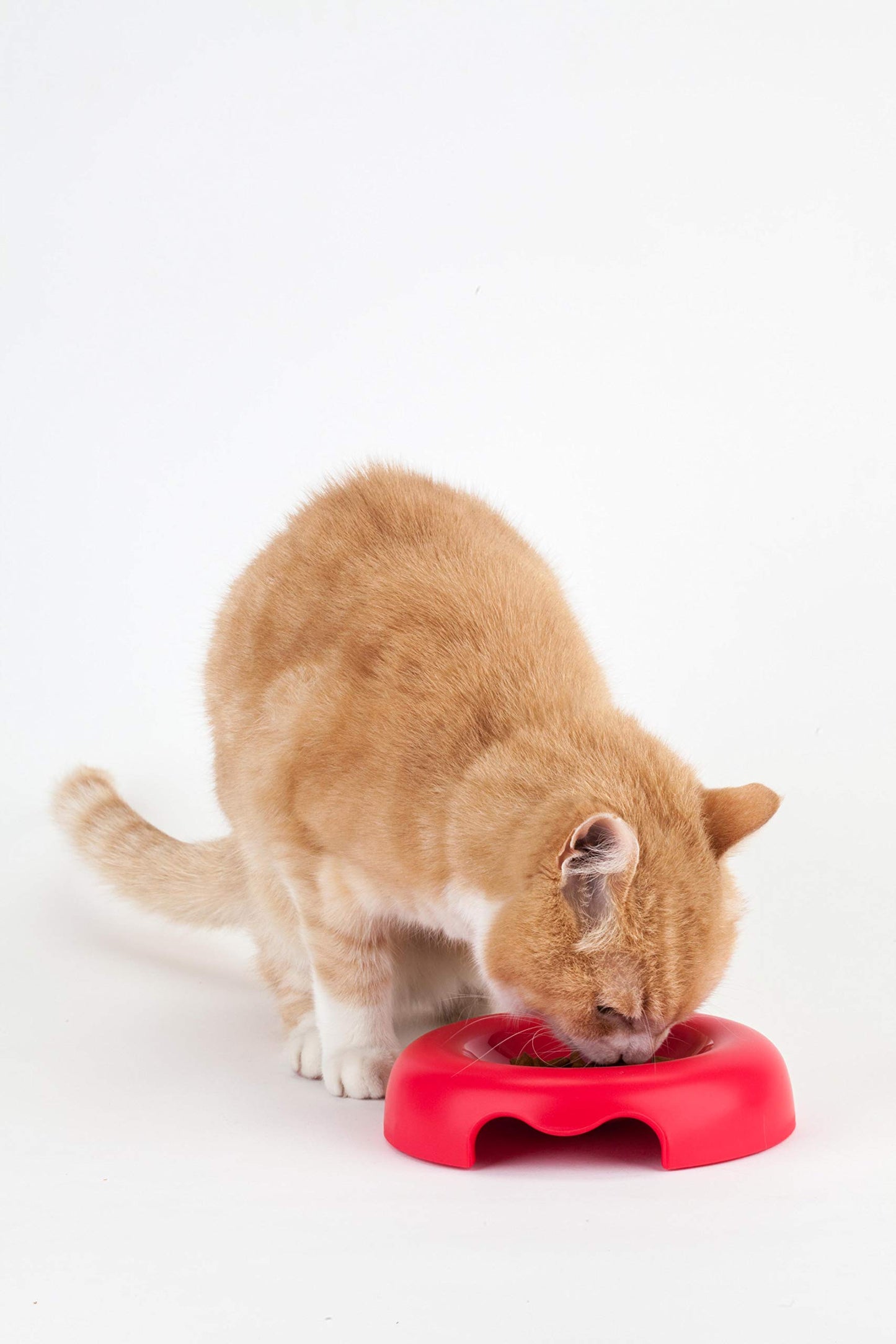 United Pets Kitty Cat Bowl / Black
