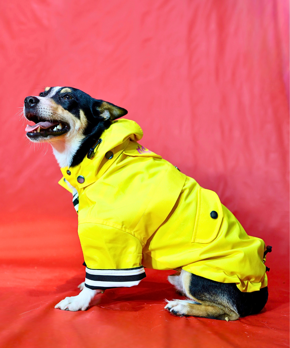 Dogs in Town Raincoat