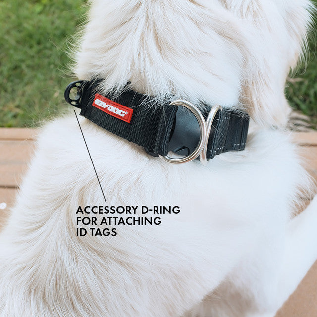EzyDog Collar Double UP