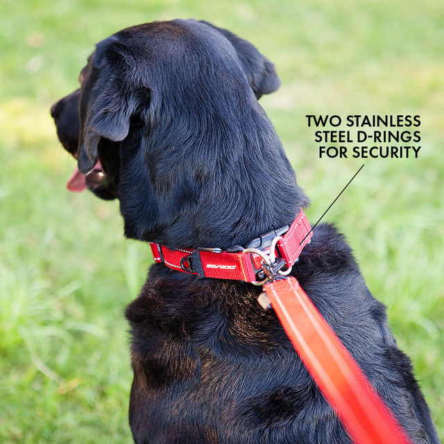 EzyDog Collar Double UP