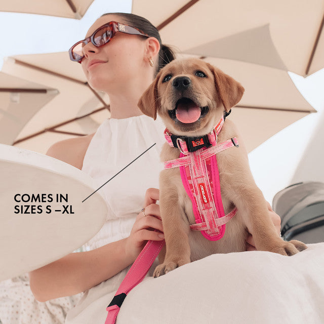 EzyDog Collar Double UP