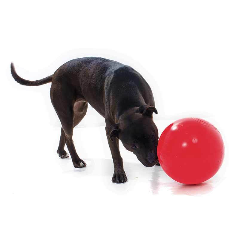 AUSSIE DOG Enduro Ball / 190mm Medium