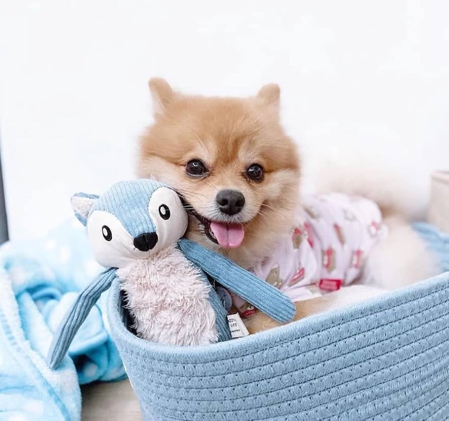 FuzzYard LIFE Premium Corduroy Dog Toys