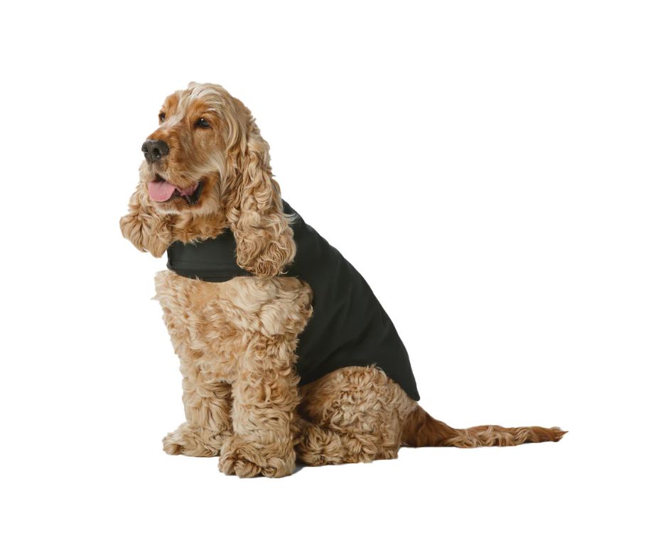 All-Weather Jacket Black
