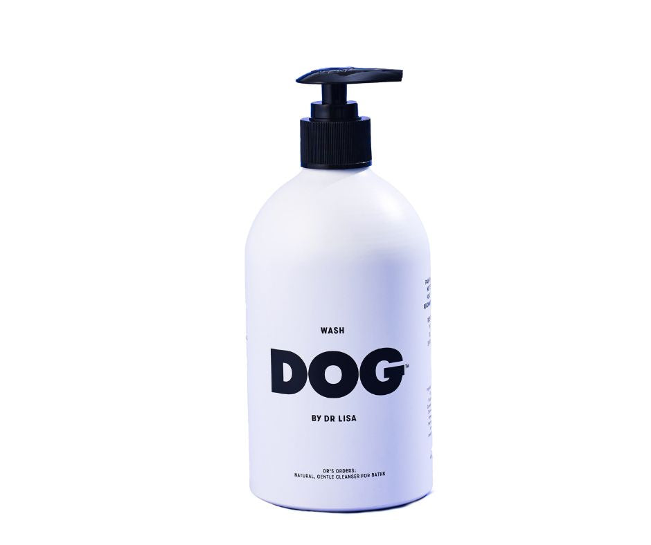 DOG by Dr Lisa Wash