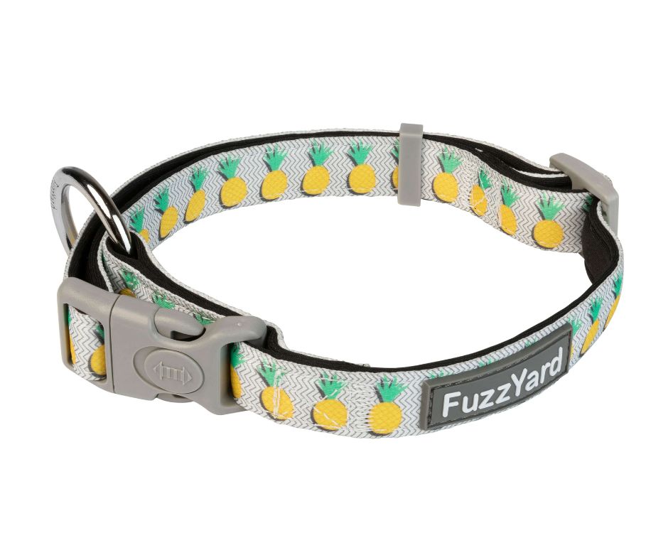 Fuzzyard Collar Pina Colada