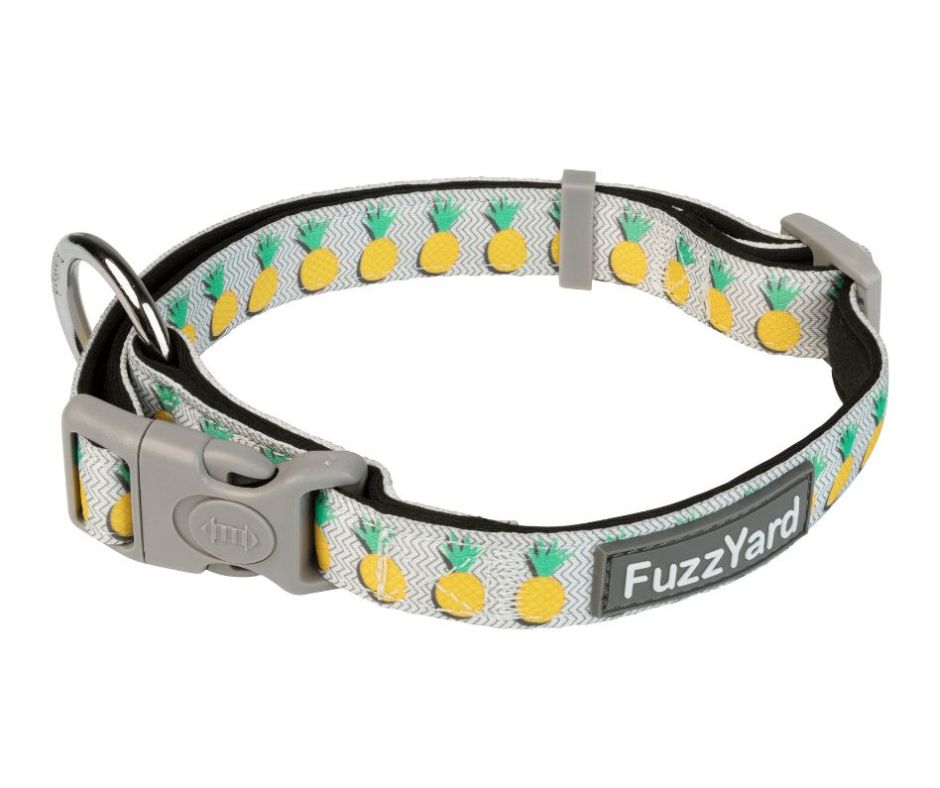 Fuzzyard Collar Pina Colada