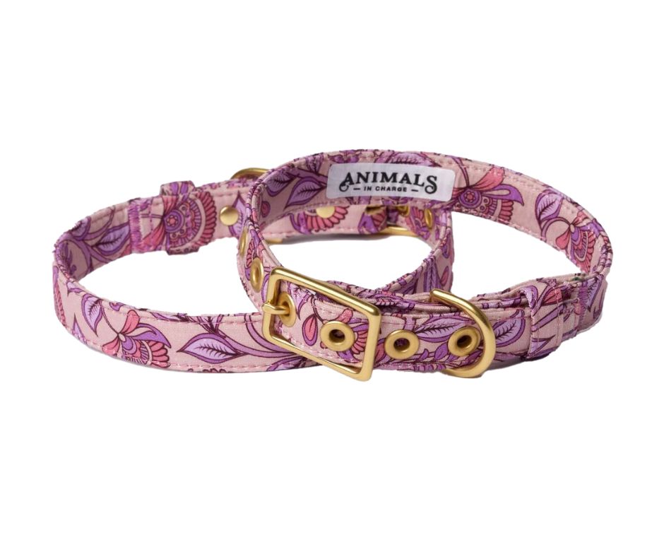 Bohemian Sunrise + Brass Cafe Collar