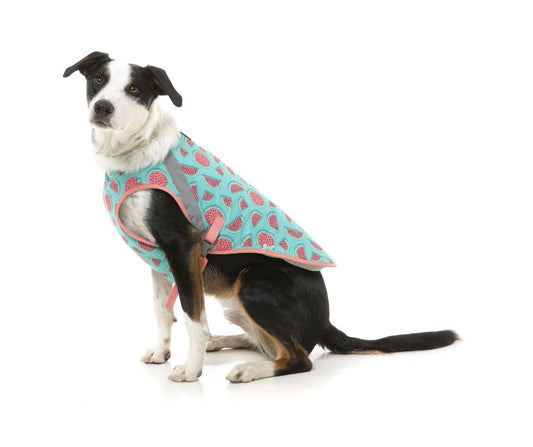 Fuzzyard Cooling Vest - Summer Punch