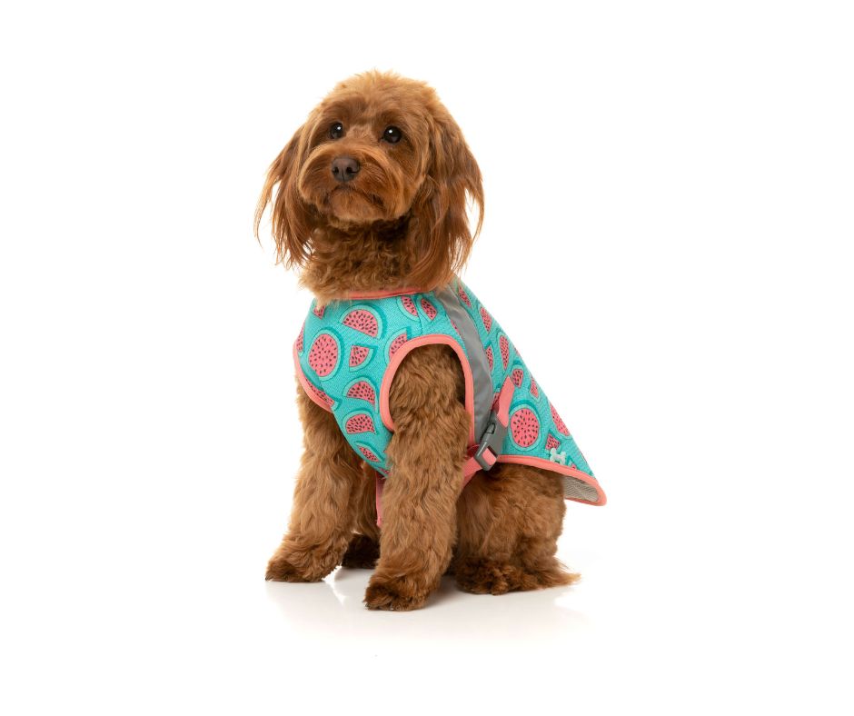 Fuzzyard Cooling Vest - Summer Punch