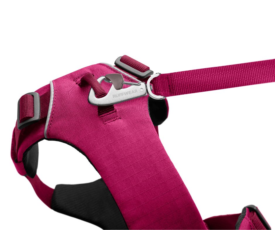 Ruffwear Front Range Harness Hibiscus Pink