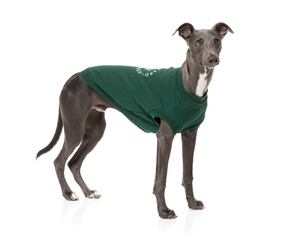 The FY Sweater