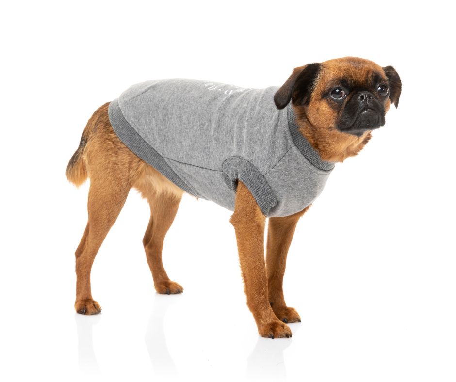 The FY Sweater