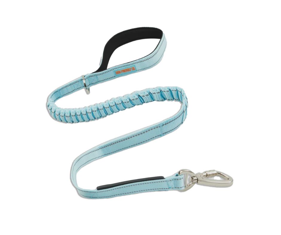 Bungee Leash - Sky Blue