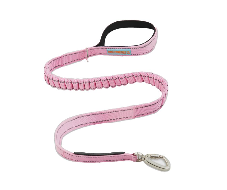 Bungee Leash - Pink