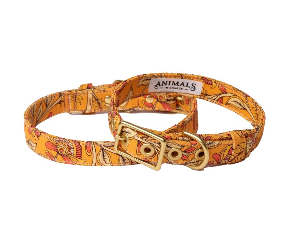 Bohemian Sunset + Brass Cafe Collar