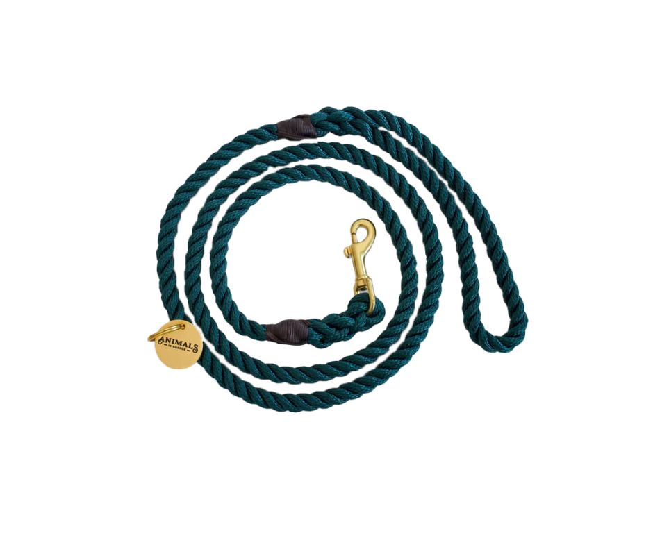Forest Green + Brass Rope Dog Leash