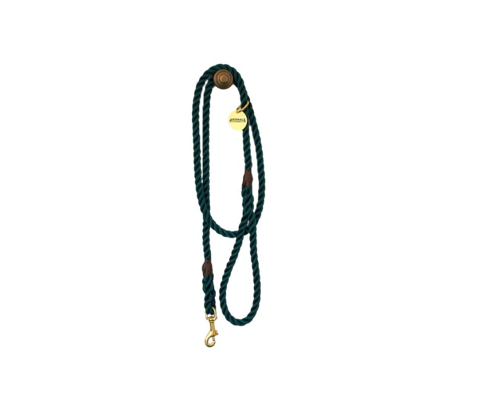 Forest Green + Brass Rope Dog Leash
