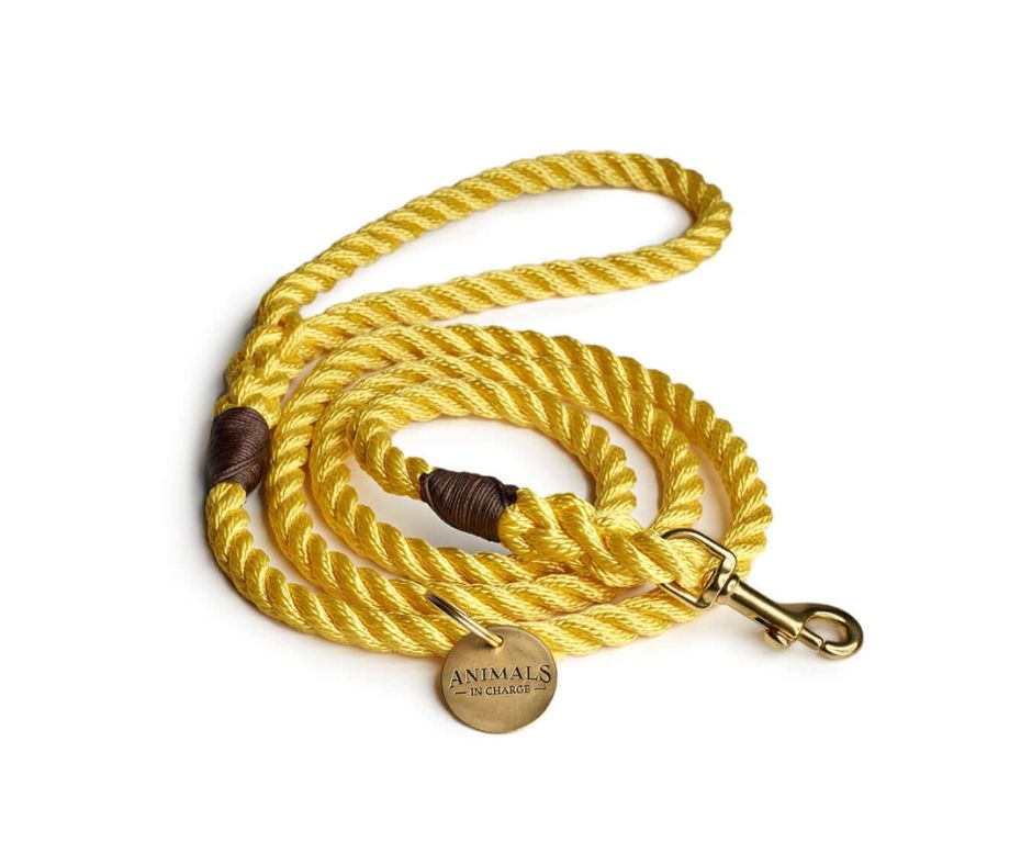 Butter Yellow + Brass Rope Dog Leash