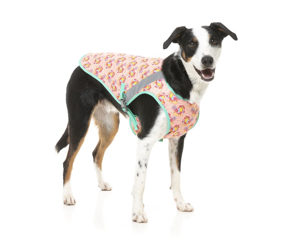 Fuzzyard Cooling Vest - Two-Cans