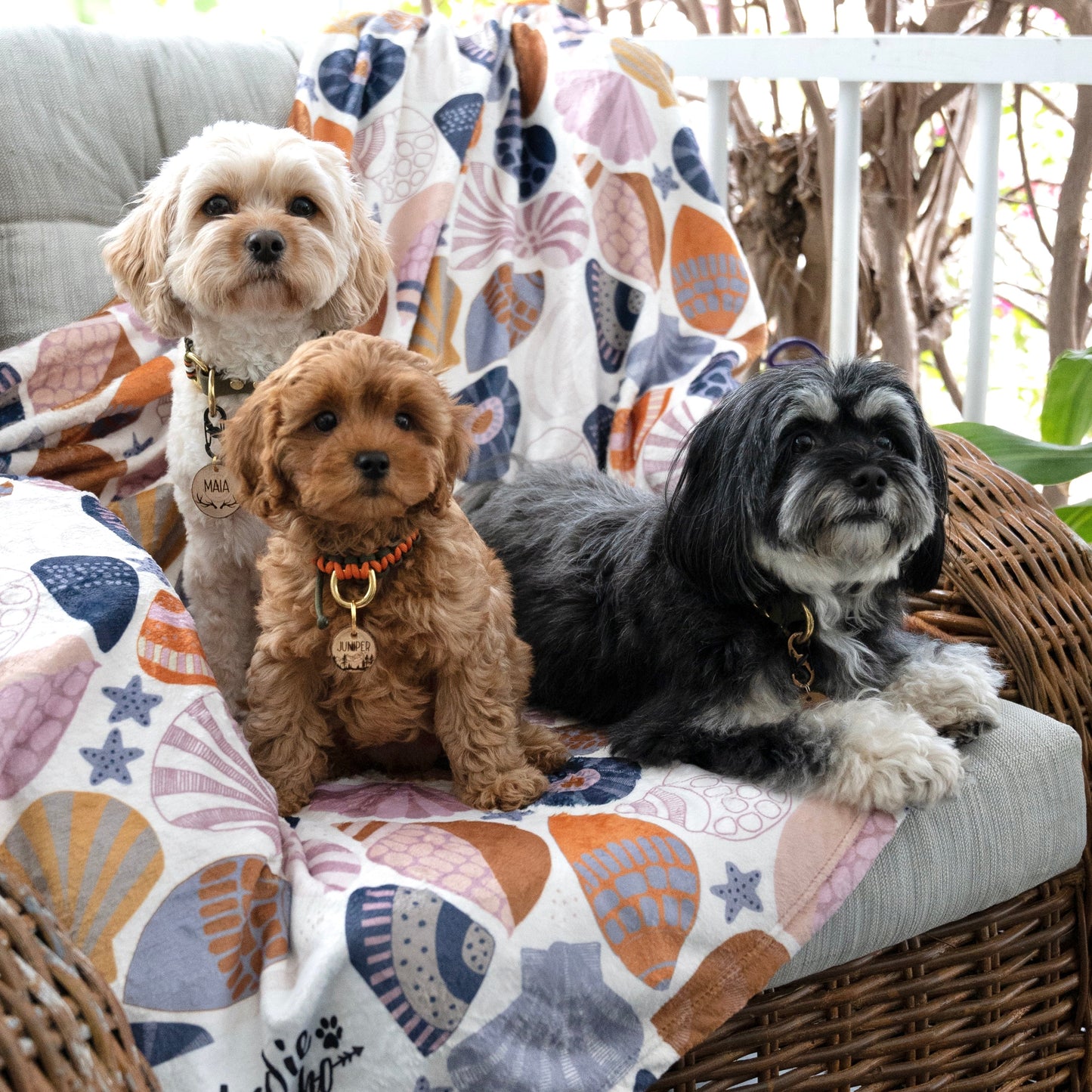 INDIEBOHO Designer Pet Blanket