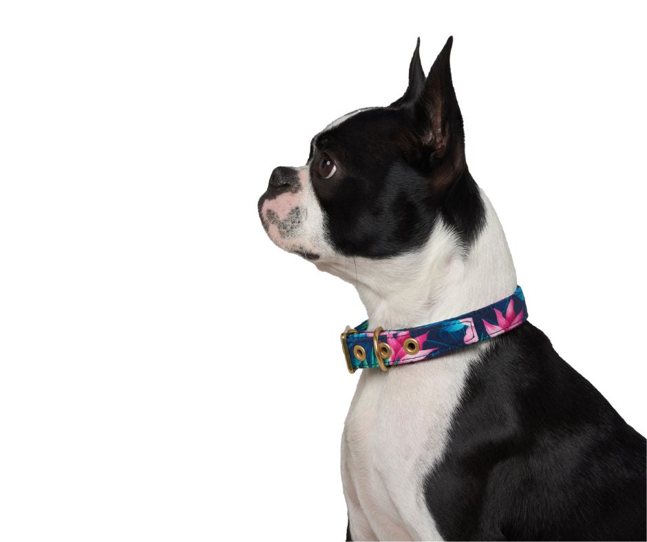 Tropical Flower + Brass Cafe Collar