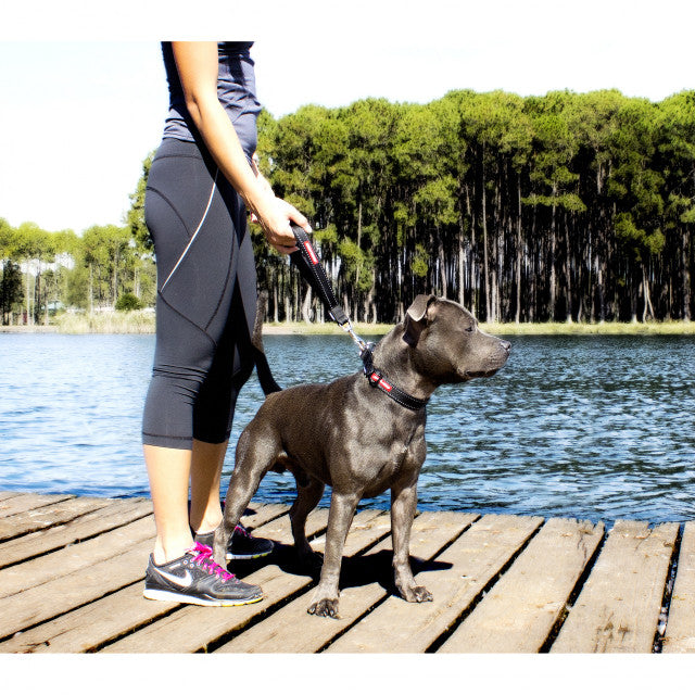 EZYDOG Mongrel Leash