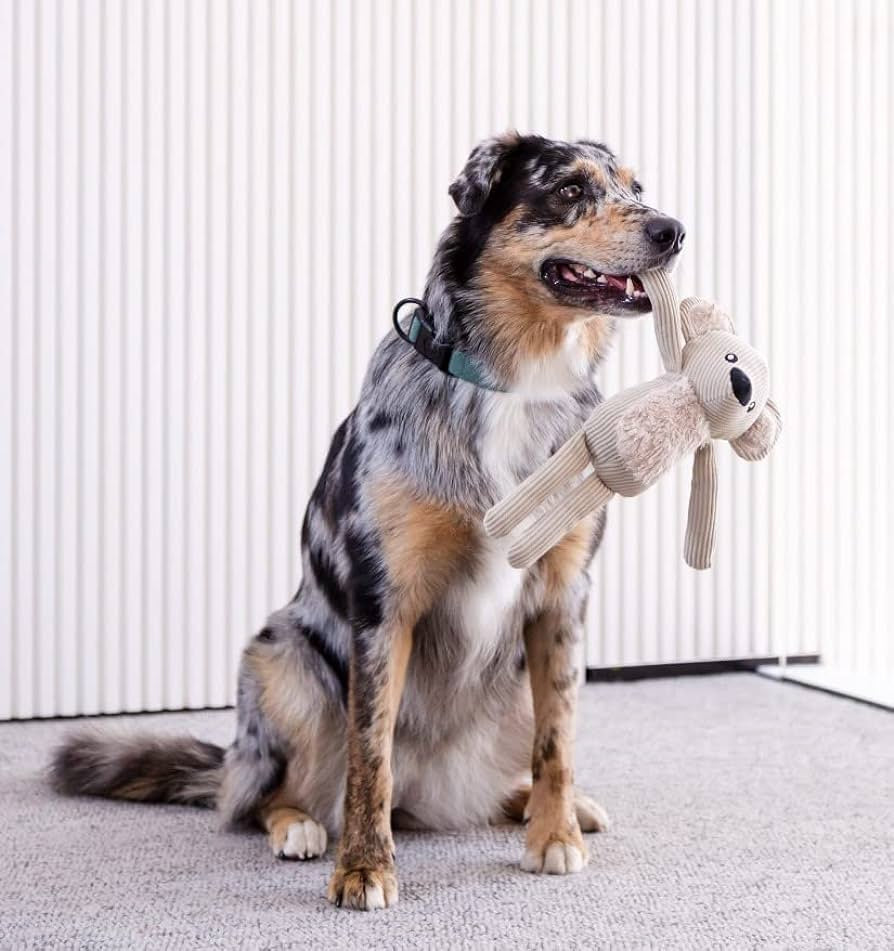 FuzzYard LIFE Premium Corduroy Dog Toys