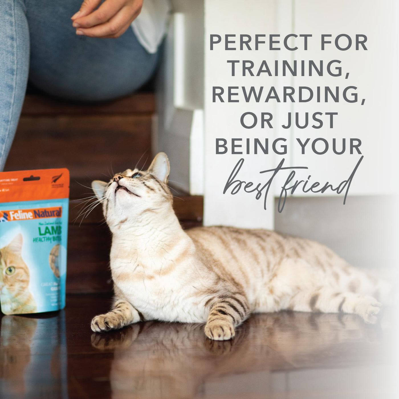 Feline Natural Healthy Bites Cat Treats