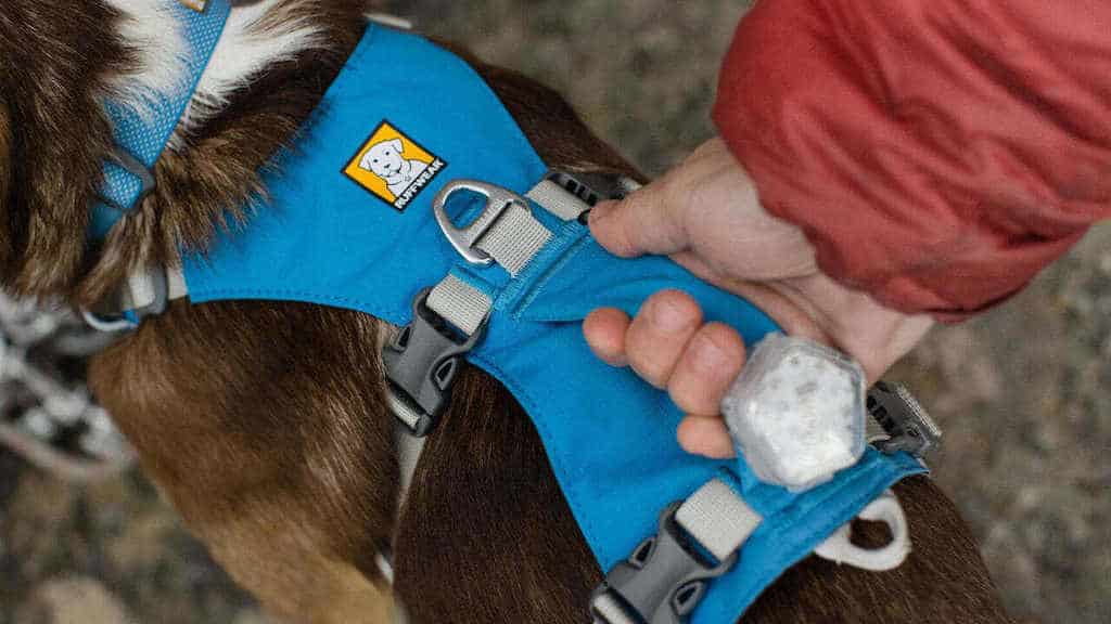 RUFFWEAR Flagline™ Dog Harness with Handle