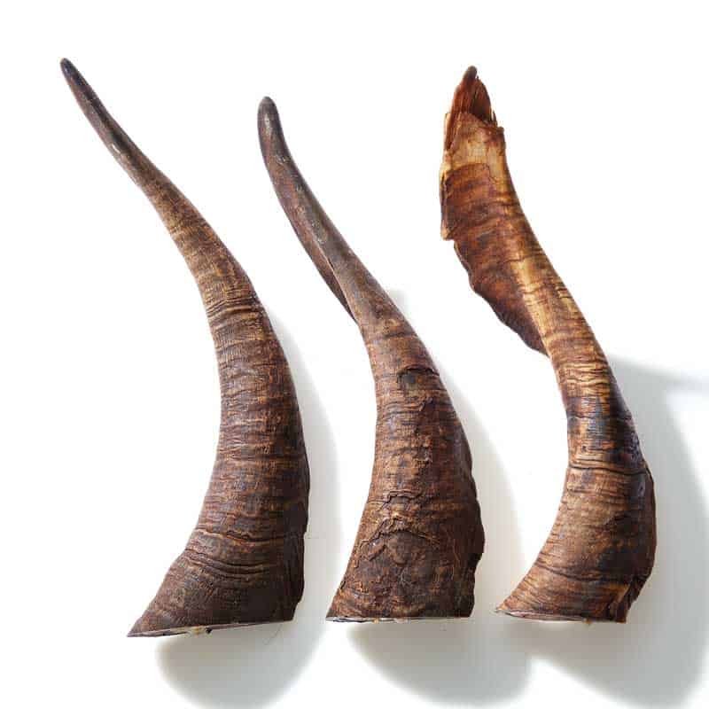 CLEAR DOG TREATS Goat Horns