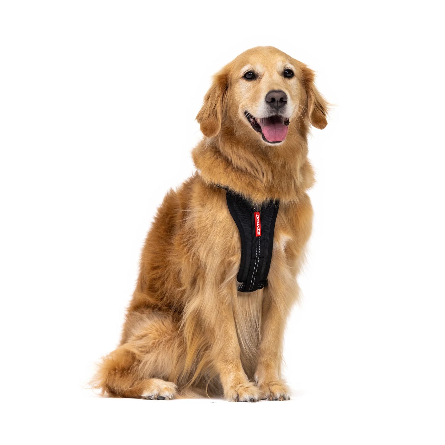 EZYDOG Harness ChestPlate Burgundy